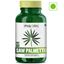Picture of Saw Palmetto Serenoa Repens 100 % Natural Extract 60 veg capsules 800mg for hair growth (1)