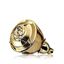 Picture of Volare Gold Eau de Parfum