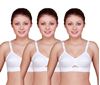 Picture of Teenager White Cottob Bra ( Pack of 3 Pcs)