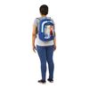 Picture of Skybags Sb Frozen Champ 18.0063 Ltrs Blue School Backpack 