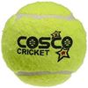 Picture of Cosco Light Cricket Tennis Ball