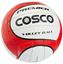 Picture of Cosco Premier Volley Ball, Size 4