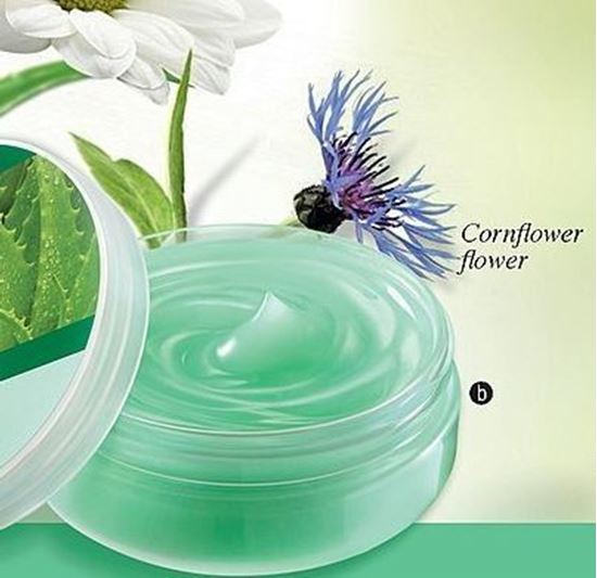 Picture of AVON Naturals Aloe Hydra Cool Overnight Face Mask