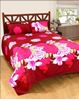 Picture of FLORA  Glace Cotton Double Bed sheet  #3