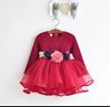 Picture of Girls autumn dress with flower belt