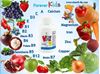 Picture of Forever Kids Diatary Suppliment