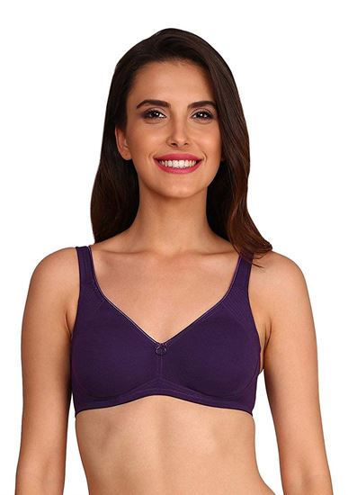 https://alfastore.co.in/content/images/thumbs/0017515_jockey-womens-cotton-full-coverage-shaper-bra_550.jpeg