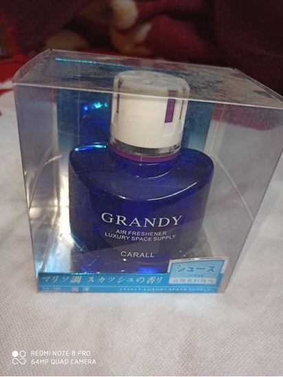138 ml Grandy Car Perfume at Rs 250, Car Perfume in New Delhi
