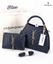 Picture of YSL HAND BAG 01