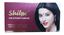 Picture of Shilpa Kumkum bindi in Red Maroon & Black(Pack of 6 sheets)