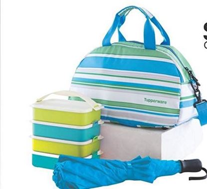 Picture of Tupperware Tupin Plastic Umbrella and Backpack Picnic Set (Multicolour)
