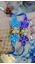 Picture of Peacock Feather Pearl Rakhi Set 🦚💙